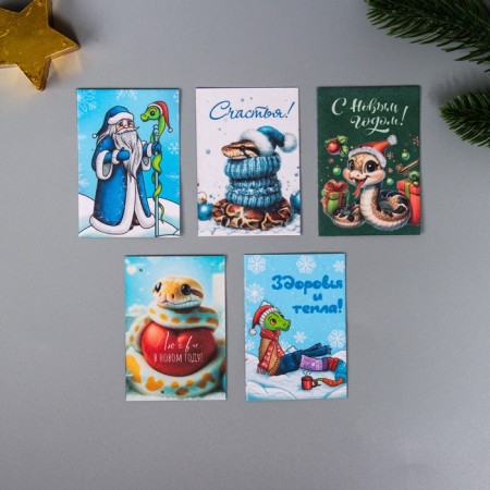 A set of postcards with the seeds "grow itself" "Happy New Year" snakes 5*7cm