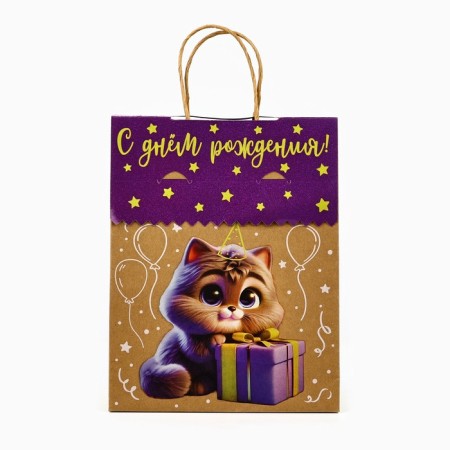 A package with a “Happy Birthday” valve, cat, craft, glitter, 19.5 × 10 × 25.2 cm-1