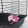 Drill for rodents 150 ml, 15 x 5.5 cm