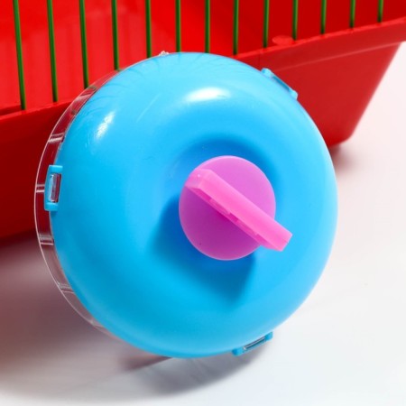 Wheel for rodents are quiet, 11 cm, blue-1