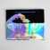Gift holographic package, packaging, The Sea, 27 x 23 x 11.5 cm
