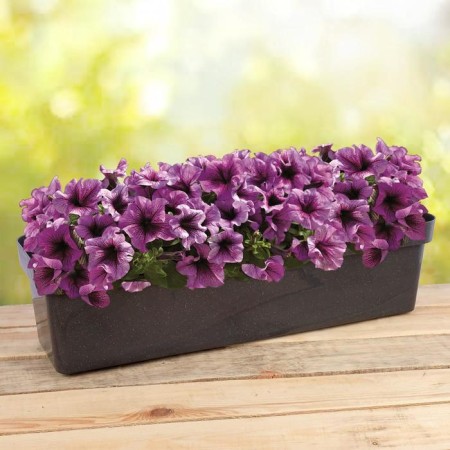 Balcony box for Eco, 60 cm, 12 l, color mix-5
