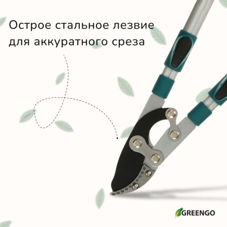 Professional bitch professional, 27.5–40.5 "(70.5−103 cm), telescopic, with plastic handles, mix, Greengo-3