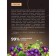 Natural moisturizing bb cream shining, tone No. 2 is light almonds, 30 ml