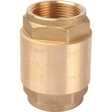 Reverse valve Stout SVC-0011-0032, 1 1/4 ", spring, coupling, with a metal saddle