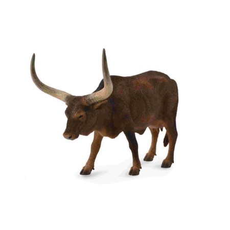 Figure "cow Ankole-vatushi", l