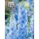 Flowers of the Dolphinium "Klia Spring", Blue, 0.05 g