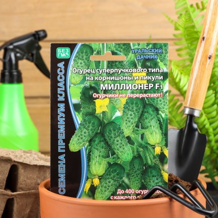 Cucumber seeds "Millionaire" F1 Early Nespel, productive, parthenocarpic, 7 pcs