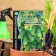 Cucumber seeds "Millionaire" F1 Early Nespel, productive, parthenocarpic, 7 pcs