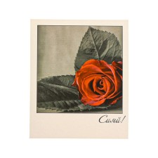 Mini-postcard 