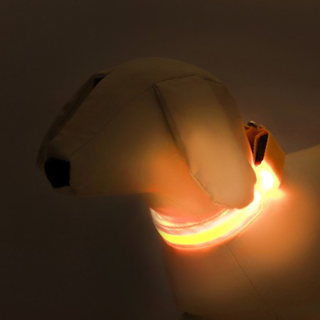 Collar with backlight double strip size S, Osh 35-43 x 2.5 cm, 3 glow modes yellow-1