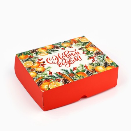 Packaging for confectionery "New Year's Botany", 20 x 17 x 6 cm, New Year-2