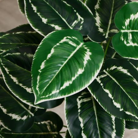 Artificial tree "Calatea motley" 80 cm-1