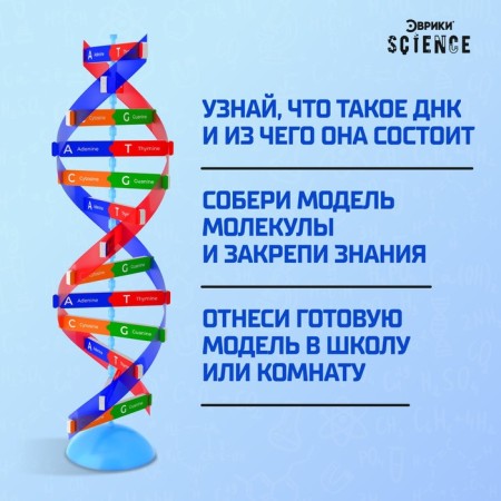 Set for experiments "Molecule DNA"-3