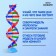 Set for experiments "Molecule DNA"