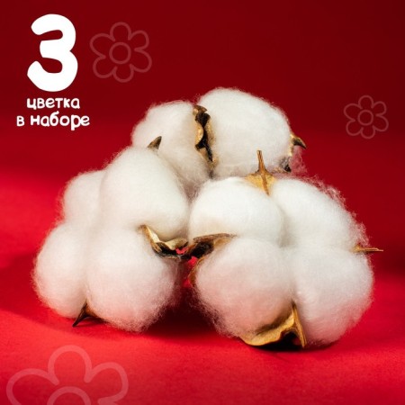 Dry flowers of cotton, set 3 pcs., Size 1 pc. 6 × 6 cm, white color-5