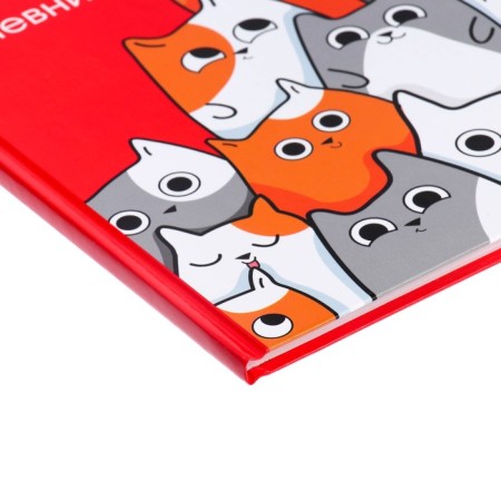 Diary for grades 5-11, "cats", solid cover 7BC, glossy lamination, 48 sheets-2