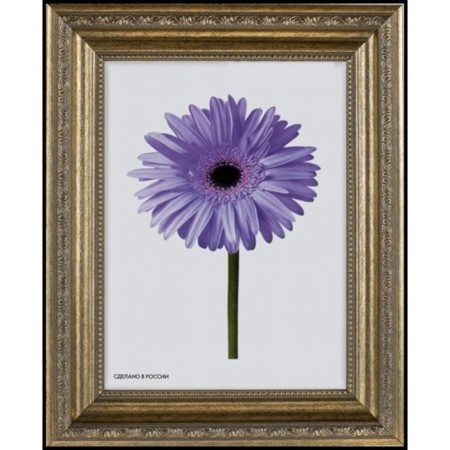 Frame for paintings (mirrors) 40 x 50 x 3.3 cm, plastic, dorothy, silver-2
