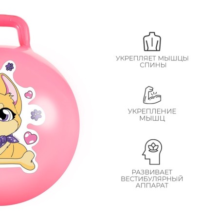 Ball-slop with a zabiaka handle "Corgi", D = 45 cm, 380 g, pink color-2