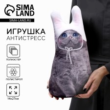 Antistress toy 