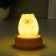 Lumber "Buried Bear" LED USB 300mah 3 modes 7.5x7.5x9.5cm