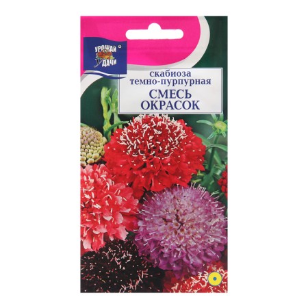 Scabiosis flowers, mixture mixture, 0.2 g