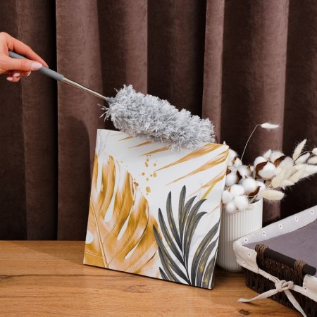 Raccoon dust removal brush, telescopic pen 33-81 cm, microfiber nozzle 17 cm-1