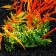 Artificial aquarium plant, 22 cm, orange