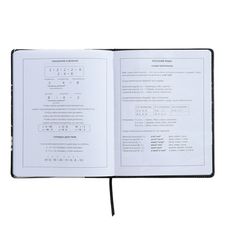 Universal Diary Grade 1-11, 48 sheets "Racing", solid cover of artificial leather, lies, universal cheat sheet, block 80 g/m2-10