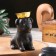 Standing for incense powder and cones "POPS", black, 13.3x7.3 cm