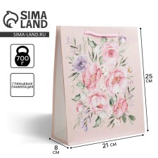 Gift laminated package, packaging, Pressent for You, Ml 21 x 25 x 8 cm