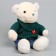 Soft toy "Little Friend", Bear in a green sweater