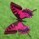 Sadter Garden "Butterfly" 10x8cm, 30cm, mix / packing 25pcs, price per pcs
