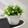 Pot with the pallet "Nick", 1 l, the color is white