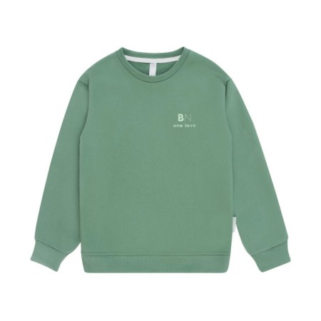 Sweatshirt for boy One Love Light, height 104 cm, green color-1