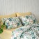 Pillowcase of pillowcases "MIA", size 70x70 cm, green color, 2 pcs