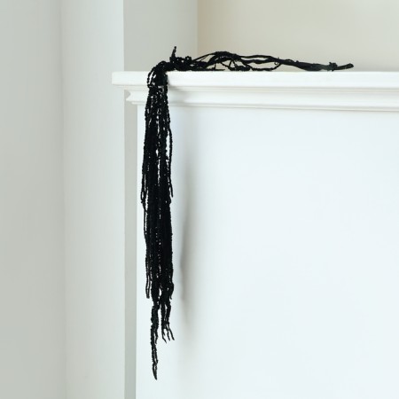 Dry flowers of amaranth, 100 g, sheet size: from 50 to 60 cm, black color