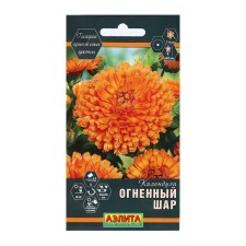 Calendula flowers 