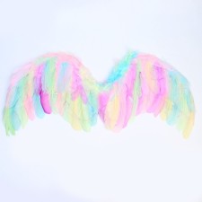 Angel wings 52 × 23 cm
