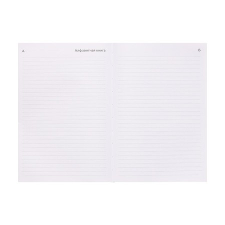Dated diary 2024, A5, 176 sheets, attomex.Rigent, cover of boumvinyl, liesse, block 70 g/m2, black-10