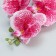 Artificial flowers "Tiger orchid" 90 cm, red-white