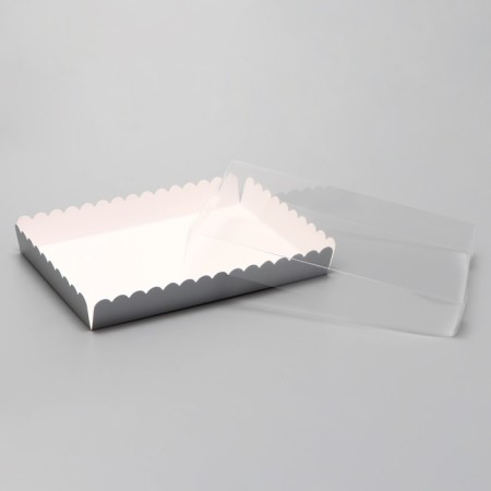 Box for cookies, silver, 22 x 15 x 3 cm-3