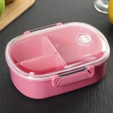 Lunch-Box Plastic 