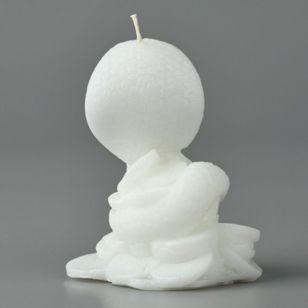 New Year 2025! Interior candle “New Year's collection: snake on coins”, white, 78 x 61 x 52-4