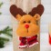 A cover on a bottle "Deer", a striped scarf, with handles
