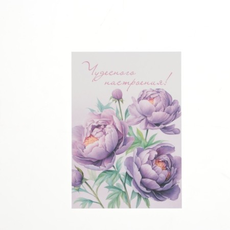 Set of mini-postcard "Flowers" 7.6 x 10.6 cm-12