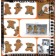 ABC cookies