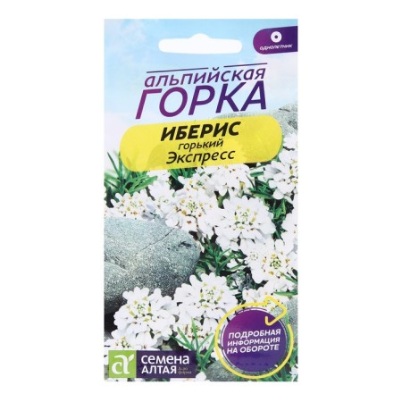 Flower seeds Iberis Hyacinth "Express", 0.1 g