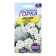 Flower seeds Iberis Hyacinth "Express", 0.1 g
