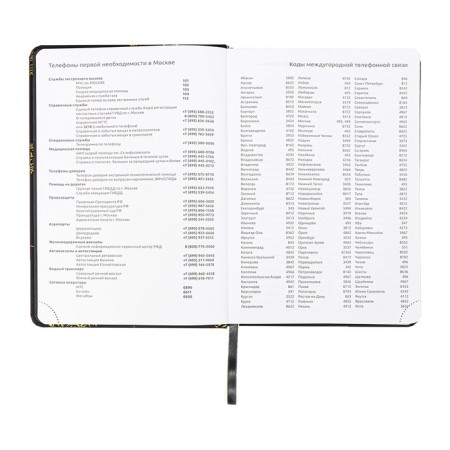 The diary is low, A5, 136 sheets, leatherette, Devente. Tropicana, solid cover, foil embossing, perforation, liesse, block 70%, black-6